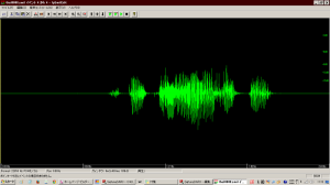 Sigtuna編集画面の音声波形